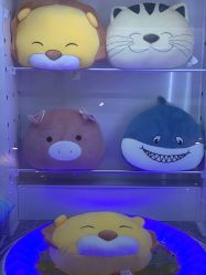 -莫莉幻想儿童乐园(苏州常熟永旺店)