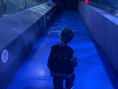 -太平洋海底世界