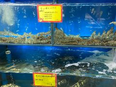 水产区-蚝专家(北滘店)