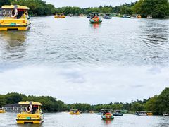 -上海共青森林公园