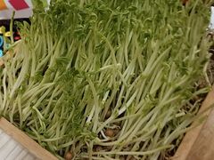 -椰夫人·养生椰子鸡(金沙洲永旺店)