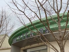 -喜茶(迪士尼小镇DP店)