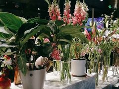 -懒人盐府人家(航天桥店)