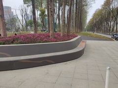 -后襄河公园