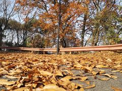 -宝界山林公园
