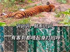 -广州动物园