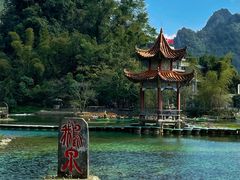 -靖西鹅泉风景区