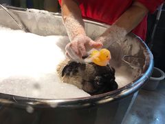 -PETKIT小佩宠物·低压洗护(国顺东路店)