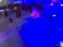 -世界之窗阿尔卑斯冰雪世界