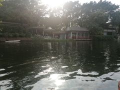 -荔湾湖公园