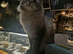 -董小姐咖妃·咖啡·简餐.意面(松江大学城店)