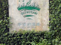 -华侨城湿地公园