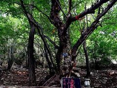 -青檀寺景区