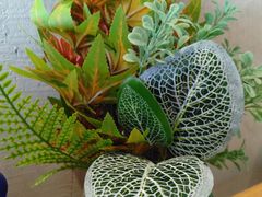 -ZING COFFEE 镜咖啡