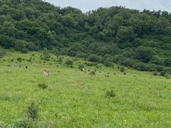 -白草畔自然风景区