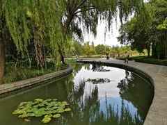 -洛阳市隋唐城遗址植物园