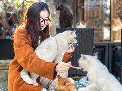 -喵屿·大理花园猫咖