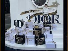 -Dior迪奥(上海世茂广场店)