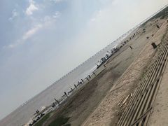 -南汇嘴观海公园