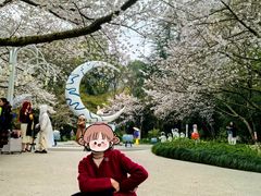 -杭州少年儿童公园