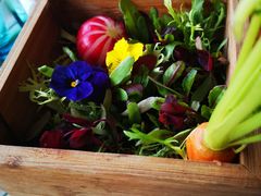 -烛影拾光观景餐厅·创意菜·摄影·小提琴(大唐不夜城店)