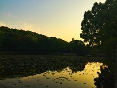 -普陀山慧济禅寺