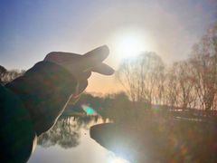 -大兴滨河森林公园