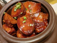 -金鼎轩(方庄天坛店)