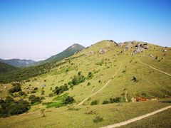 -大姆山草场