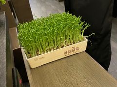 -湊湊火锅·茶憩(打浦桥日月光店)
