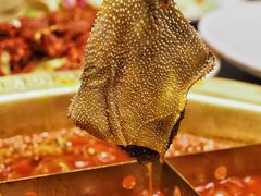 -蜀九香火锅(彩虹店)