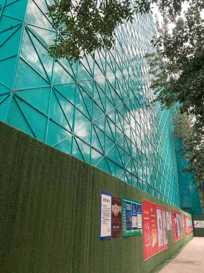 东单体育中心-"我是在上学的时候喜欢上篮球的.我是个女生.