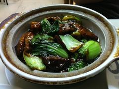 香菇面筋煲-小桃园餐厅