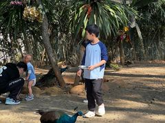 -西双版纳勐泐文化旅游区