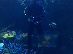 -暹罗海洋世界
