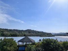 -金孔雀温泉旅游度假村