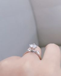-钻石小鸟钻戒婚戒定制(石路店)