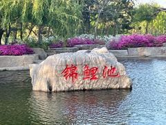 -羊亭河湿地公园