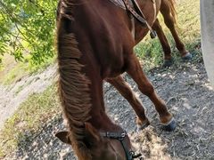 -武清南湖绿博园