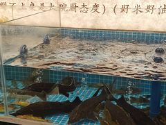 -福满我家大碗厨·湘菜(上海大厦店)