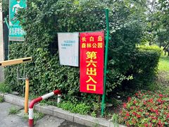 -长白岛森林公园