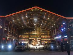 -刘老根大舞台-长春旗舰店