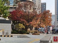 -新世界百货(明洞总店)