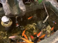 -俺家鲜·烧烤龙虾地锅鸡(观音塘店)