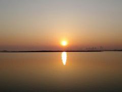 android_upload_pic-合肥滨湖国家森林公园