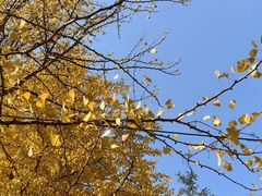 -辽宁大学(崇山校区)