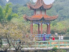 -靖西鹅泉风景区