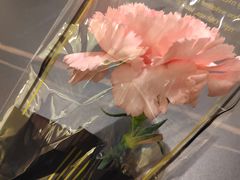 -绿杨春·淮扬宴(庐山路店)