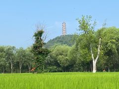 -北坞公园