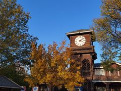 -永定河休闲森林公园